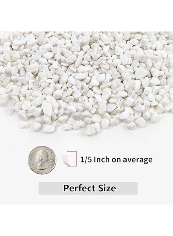HUANXIN HOME 500g 6-9MM White River Rocks for Landscaping, Natural Pebbles for Indoor Plants, High Polished Decorative Stones Garden DIY Vase Filler Fish Tank Aquariums, White - Image 3