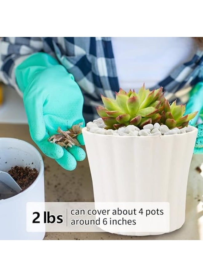 HUANXIN HOME 500g 6-9MM White River Rocks for Landscaping, Natural Pebbles for Indoor Plants, High Polished Decorative Stones Garden DIY Vase Filler Fish Tank Aquariums, White - Image 5