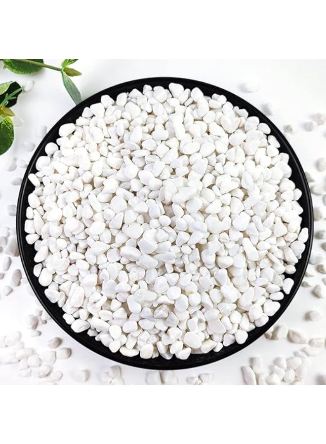 HUANXIN HOME 500g 6-9MM White River Rocks for Landscaping, Natural Pebbles for Indoor Plants, High Polished Decorative Stones Garden DIY Vase Filler Fish Tank Aquariums, White - Image 1