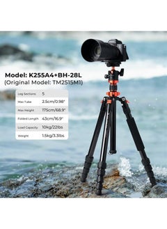 K&F Concept 68 inch /175cm Camera Tripods,Compact Travel Tripod with Monopod,10kg/22lbs Load Capacity 360° Panorama Ball Head Compatible with DSLR Cameras K255A4+BH-28L (TM2515M1)  - Image 2