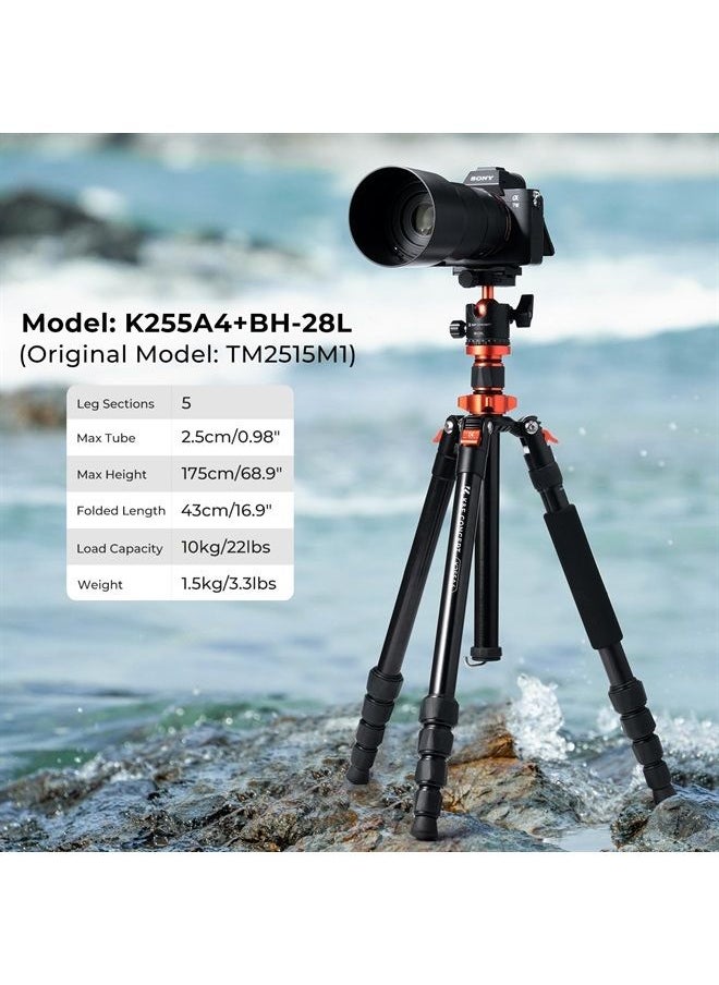 K&F Concept 68 inch /175cm Camera Tripods,Compact Travel Tripod with Monopod,10kg/22lbs Load Capacity 360° Panorama Ball Head Compatible with DSLR Cameras K255A4+BH-28L (TM2515M1)  - Image 2
