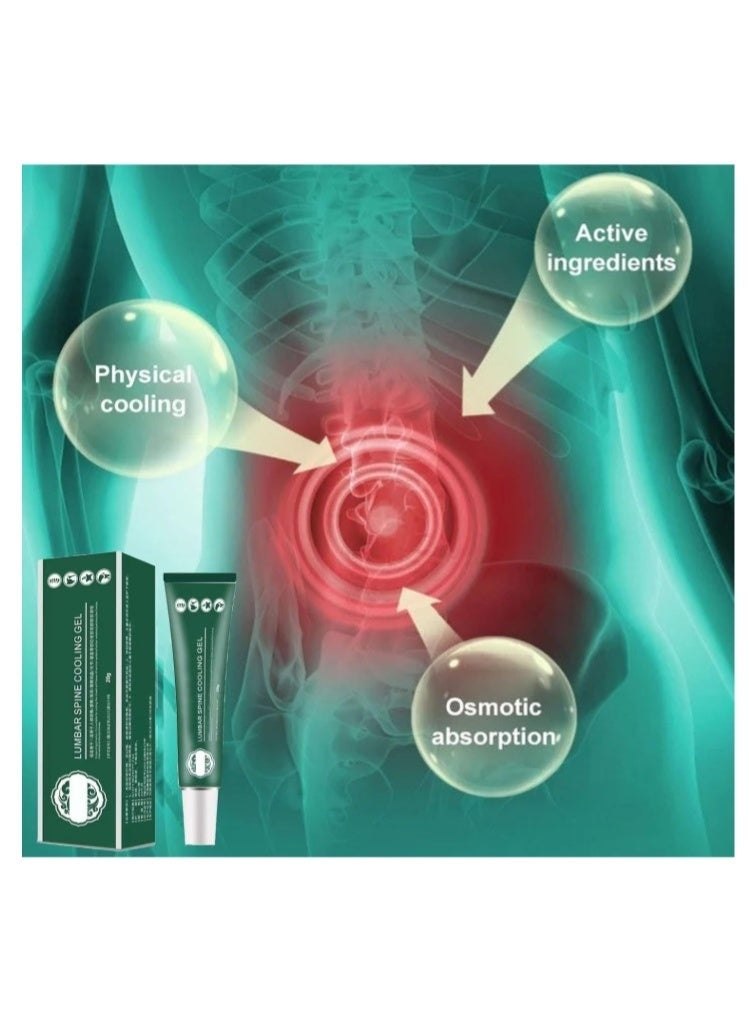 APDMP Lumbar Cold Compress Gel, Relieve Joint Pain, Cervical and Lumbar Disc, Knee Pain Relief, Natural Herbal Extract Joint Pain Relief Gel 20g - Image 2