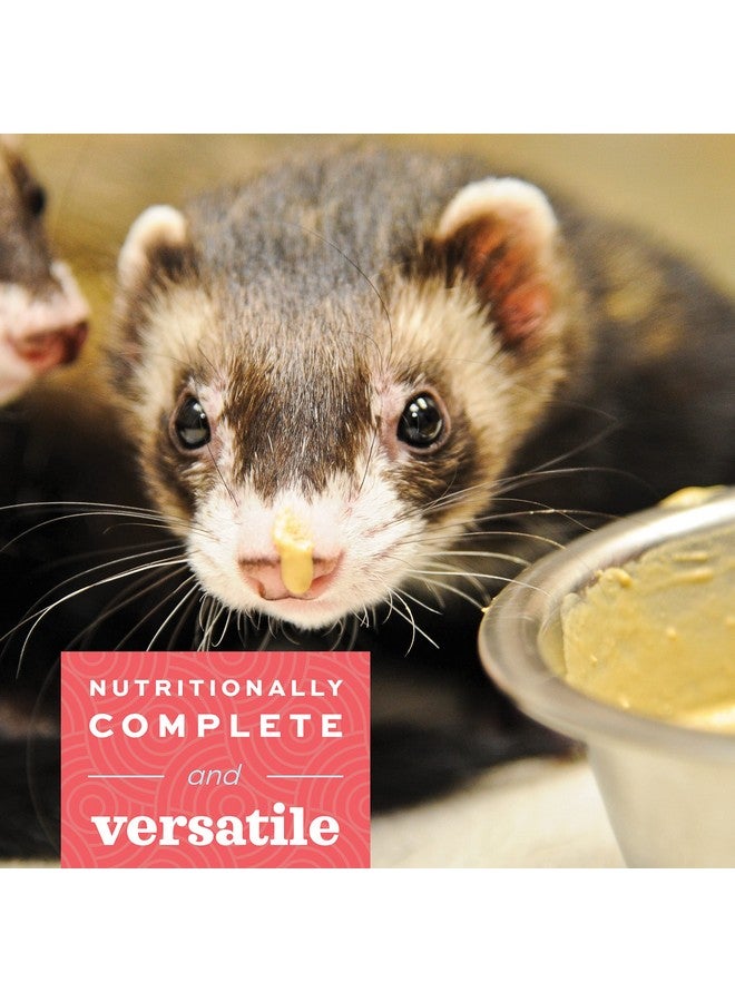 أوكسبو طعام أوكسبو للعناية الحرجة للحيوانات آكلة اللحوم، مصنوع من بيضة كاملة ودجاج مجفف، تركيبة تغذية مساعدة للحيوانات آكلة اللحوم، مكملات غذائية للقطط، طعام للتعافي من النمس، منتجات للحيوانات الأليفة الصغيرة، صنع في الولايات المتحدة الأمريكية، كيس 340 جرام - Image 2