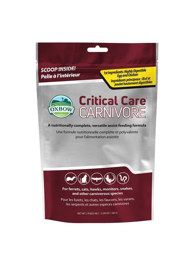 أوكسبو طعام أوكسبو للعناية الحرجة للحيوانات آكلة اللحوم، مصنوع من بيضة كاملة ودجاج مجفف، تركيبة تغذية مساعدة للحيوانات آكلة اللحوم، مكملات غذائية للقطط، طعام للتعافي من النمس، منتجات للحيوانات الأليفة الصغيرة، صنع في الولايات المتحدة الأمريكية، كيس 340 جرام - Image 1
