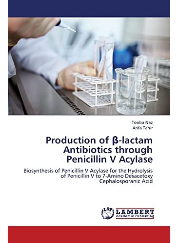 Production Of Lactam Antibiotics Through Penicillin V Acylase 