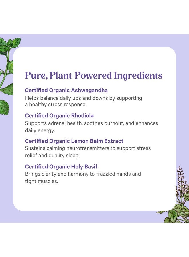 PURE SYNERGY Stress Remedy | Soothing Supplement with Ashwagandha | Organic Adaptogen Support from Rhodiola, Lemon Balm, and Holy Basil | for Stress Relief, Adrenal Health, and Mood (60 Capsules) - Image 5