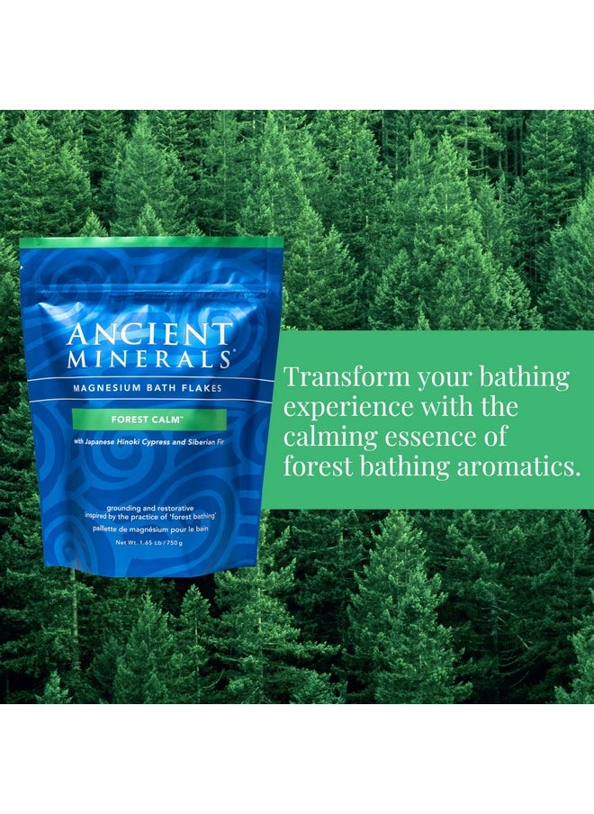 Ancient Minerals Ancient Minerals Magnesium Bath Flakes Forest Calm - Resealable Magnesium Bag of Zechstein Chloride Alternative to Epsom Bath Salt (1.65 lb)  - Image 4