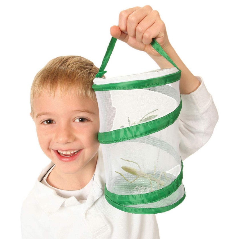 Insect Lore Mini Butterfly Habitat | Clear Mesh, Zipper, 8â€ Tall | Pop Up Folds Flat | Habitat for Most Insects - Image 2