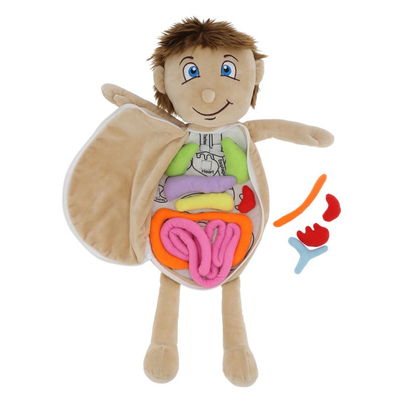 Human Anatomy Doll: Super Soft Skin-Friendly Plush, Detachable Organ Design - Educational Toy for Preschool Home School Classroom Kids - Image 5