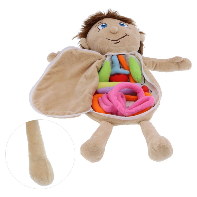 Human Anatomy Doll: Super Soft Skin-Friendly Plush, Detachable Organ Design - Educational Toy for Preschool Home School Classroom Kids - Image 3