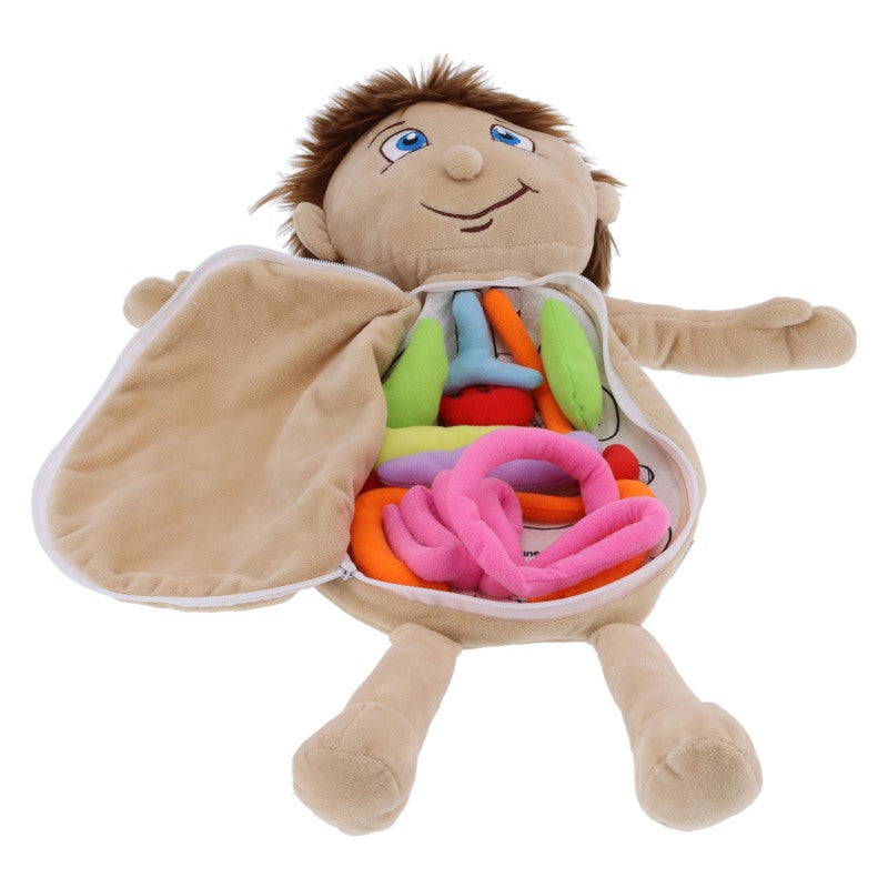 Human Anatomy Doll: Super Soft Skin-Friendly Plush, Detachable Organ Design - Educational Toy for Preschool Home School Classroom Kids - Image 2