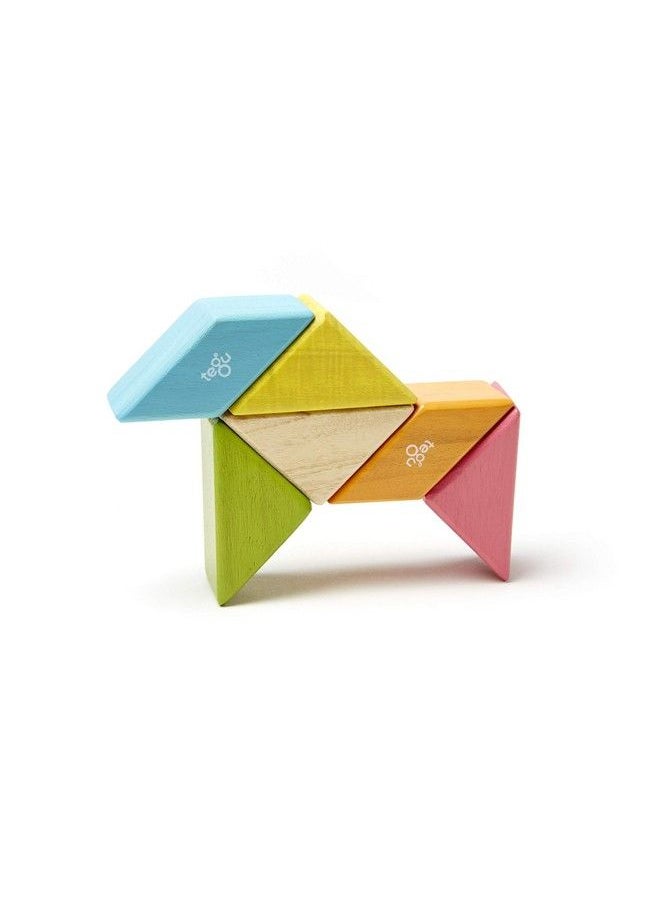 Tegu 6 Piece Tegu Pocket Pouch Prism Magnetic Wooden Block Set Tints  - Image 5