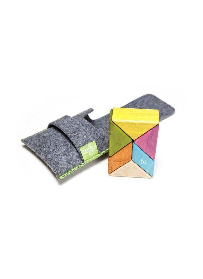 Tegu 6 Piece Tegu Pocket Pouch Prism Magnetic Wooden Block Set Tints  - Image 1