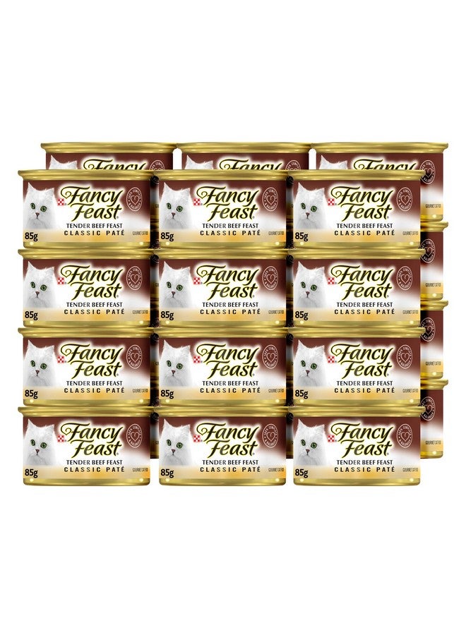 فانسي فيست وجبة لحم بقري طرية من Fncy Feast، 3 أونصة (عبوة من 24 قطعة) - Image 1