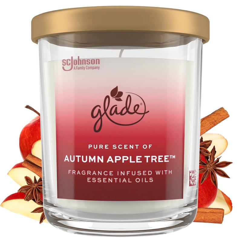Glade Candle Jar Large Candle Infused with Essential Oils Air Freshener for Home Decor Autumn Apple Tree 16oz