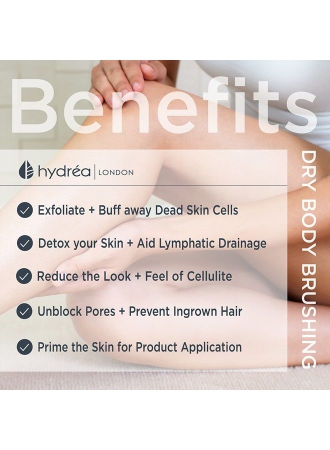 Hydrea London Dry Body Brush – Long Handled Exfoliating Dry Skin Brush with Vegan Cactus Bristle, Dry Brush Cellulite Remover, Exfoliating Body Scrubber, Helps Improve Lymphatic Drainage - FSC® Certif - Image 5