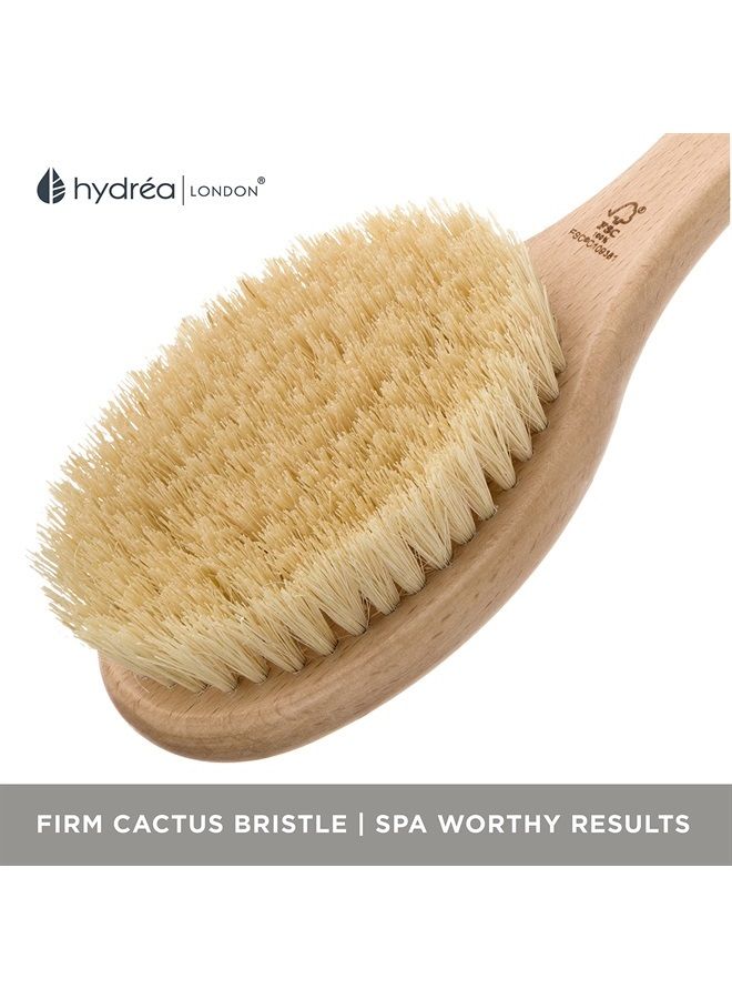 Hydrea London Dry Body Brush – Long Handled Exfoliating Dry Skin Brush with Vegan Cactus Bristle, Dry Brush Cellulite Remover, Exfoliating Body Scrubber, Helps Improve Lymphatic Drainage - FSC® Certif - Image 2