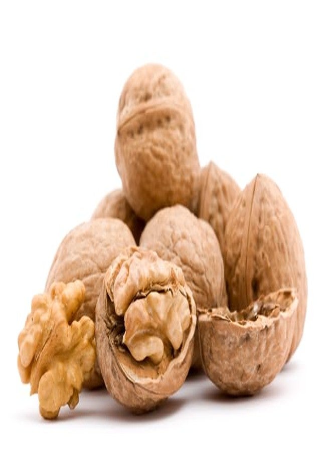We Got Nuts Raw California Walnuts In Shell – 4 lbs -Premium Quality Whole & Unsalted Walnuts By We Got Nuts – Natural Healthy Snack For The Whole Family – Oil-Free & Diet-Friendly Flavor – Air-Tight Resealable Bag Package - Image 2