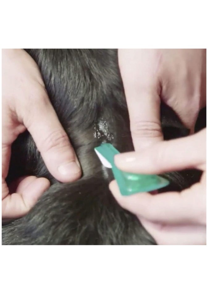 Frontline - Frontline Flea & Tick Spot On Combo for Medium Dogs | 3 Pipettes - Image 1