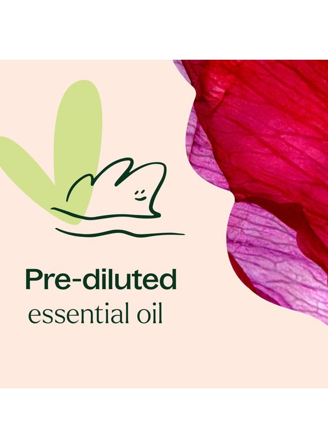 Plant Therapy Rose Absolute Pre-Diluted Essential Oil Perfume Roll-On 10 mL (1/3 oz) 100% Pure, Natural Aromatherapy, Therapeutic Grade - Image 5