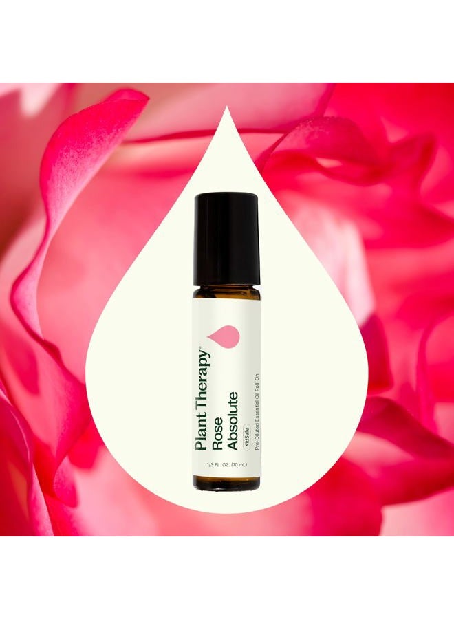Plant Therapy Rose Absolute Pre-Diluted Essential Oil Perfume Roll-On 10 mL (1/3 oz) 100% Pure, Natural Aromatherapy, Therapeutic Grade - Image 3