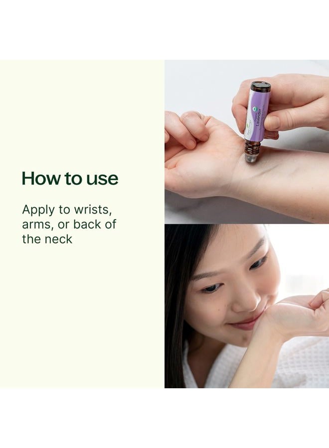 Plant Therapy Rose Absolute Pre-Diluted Essential Oil Perfume Roll-On 10 mL (1/3 oz) 100% Pure, Natural Aromatherapy, Therapeutic Grade - Image 2