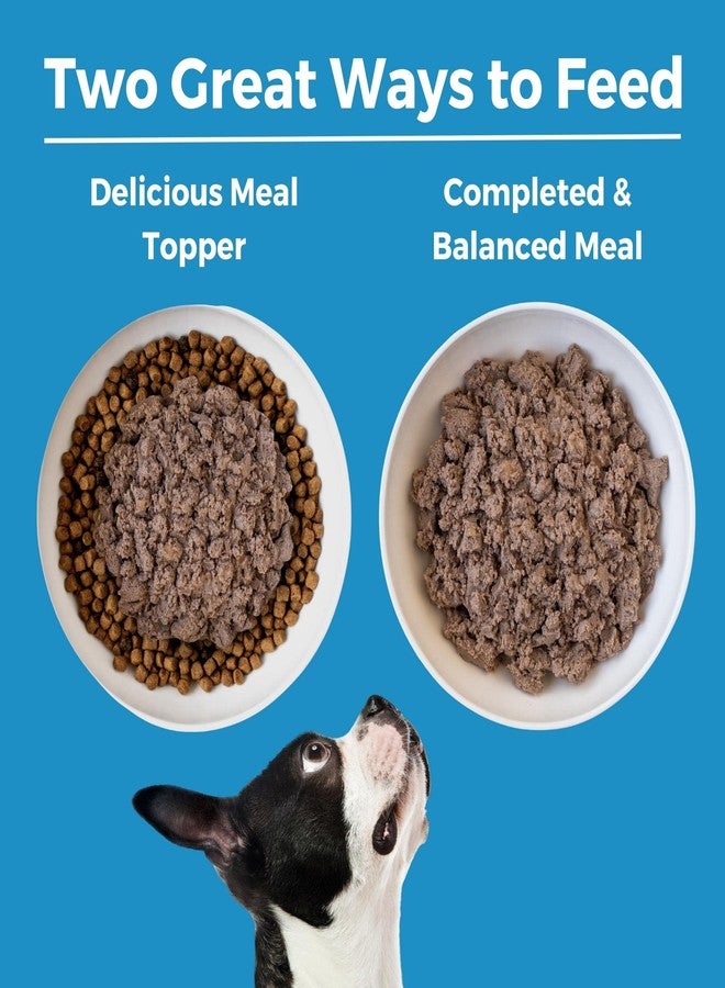 KOHA Limited Ingredient Diet Lamb Entrée for Dogs - Image 5