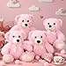 Civaner 4 Pack 14 Inches Teddy Bears Plush Stuffed Animals Cute Soft Bears Gifts Bulk for Women BFF GirlfriendPink - Image 2