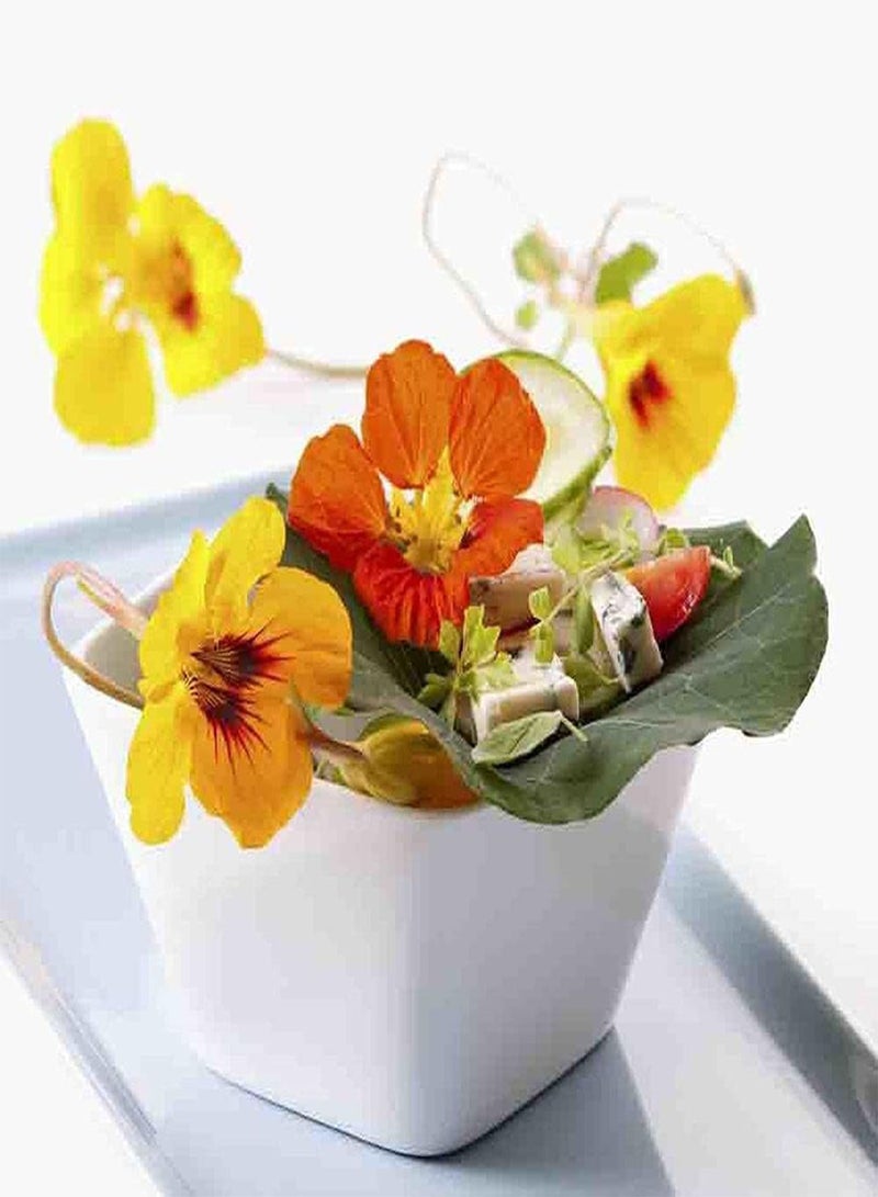 GGOOT 300Pcs Mix Nasturtium Seeds Easy to Care Entry Level Vine Flowers Rely on Rockery to Climb Grow Low Maintenance Planting Simple - Image 2