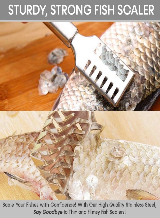 AKDC Fish Scaler Remover With Stainless Steel Sawtooth, Ergonomic Handle Design With Firm Grip For Faster And Easier Fish Scales Skin Removing Peeling, Silver - Image 1