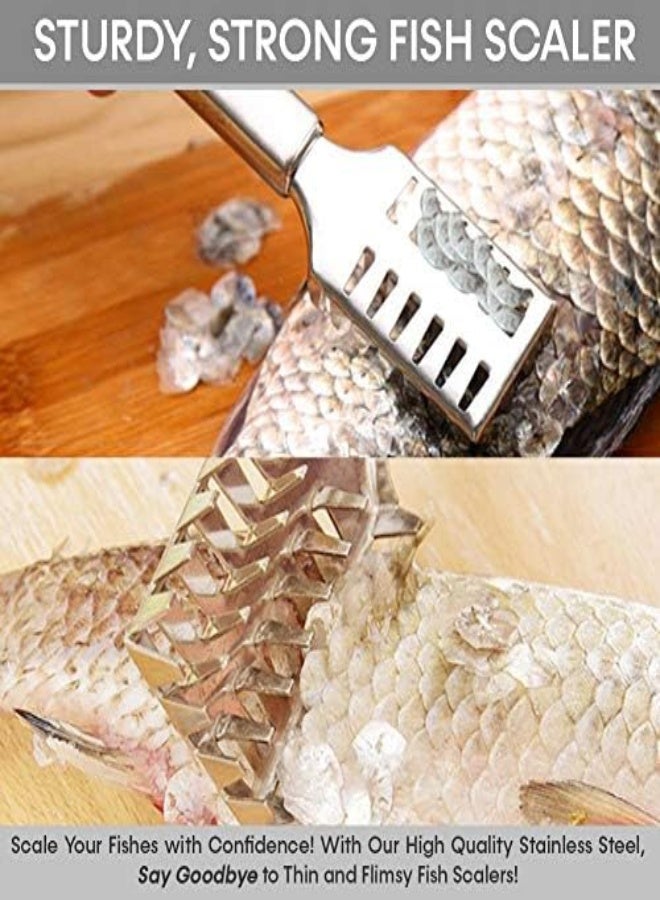 AKDC Fish Scaler Remover With Stainless Steel Sawtooth, Ergonomic Handle Design With Firm Grip For Faster And Easier Fish Scales Skin Removing Peeling, Silver - Image 2