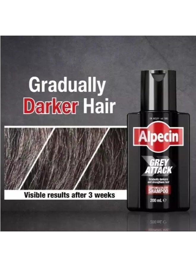 ألبيسين مجموعة شامبو Alpecin Grey Attack Caffeine & Color ‏200 مل وشامبو Caffeine Shampoo C1 ‏250 مل للعناية بالشعر الرمادي ودعم جذور الشعر - Image 5