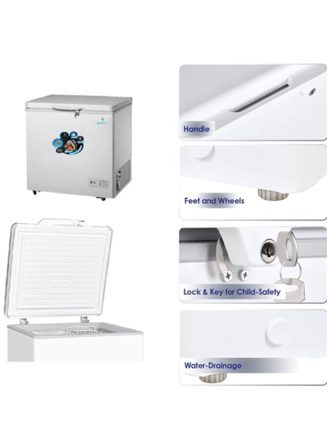 gratus 60 L Tropicalized Chest Freezer | External Handle, Inner Shelf & LED Light | Lock & Key | 1-Year Unit & 2-Year Compressor Warranty | Model GFZ60FCDX1 - Image 4
