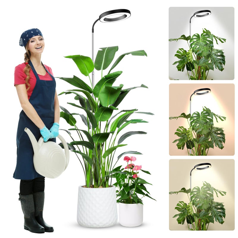Wolezek Grow Lights for Indoor Plants Full Spectrum, 80 LEDs 3 Colors Grow Light, 65in Large Plant Lights for Indoor Growing with 360Â°Gooseneck, 6/12/16H Timer, 5 Brightness, Height Adjustable, Black - Image 1