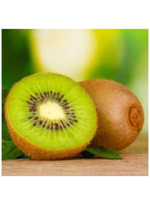 بذور فاكهة الكيوي
