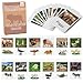 MEROCO Montessori Animal Match Miniature Farm Animal Toy Figurines with Matching Cards Montessori Language Materials Preschool Learning Toy NEWT033 - Image 3