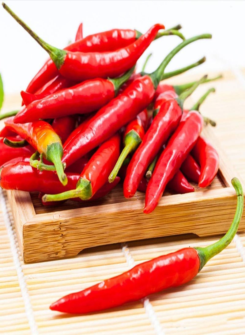 GGOOT 50pcs Pepper Seeds Gardening Decoration Beautiful Environment Garden Yard Planting Non-GMO Green Vegetables Easy Care Bring A Sense of Accomplishment - Image 3