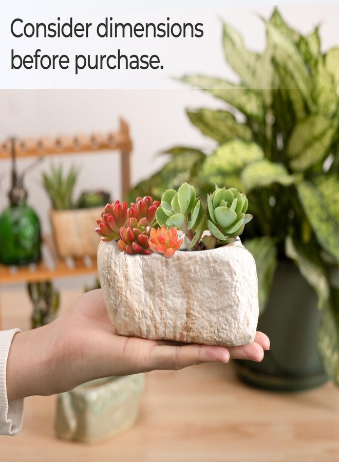 T4U 13.5CM Distinctive Stone Shape Succulent Cactus Plant Pots Flower Pots Planters Containers Window Boxes with Small Hole Set of 3 - Image 4
