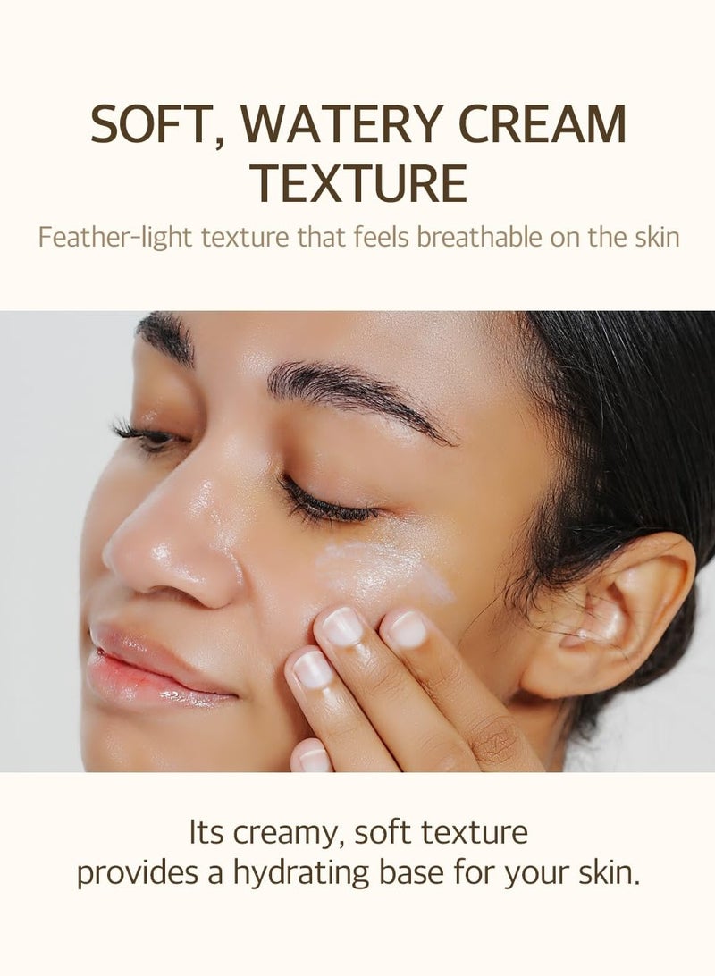 مكس سون فاصوليا واقي الشمس 1.69 فلور أوز. / 50 مل SPF 50 نوع النسيج الهوائي خفيف الوزن لا صب أبيض للوجه العناية بالبشرة الزجاجية الكورية - Image 5