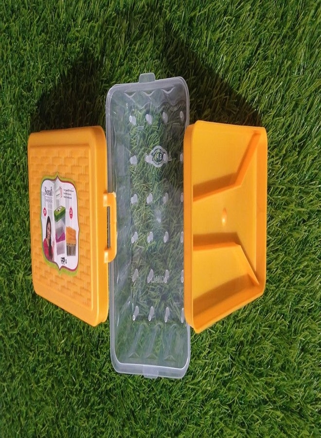 DAIDSUKE® Plastic 24 Reels Storage Sewing Supplies Organizer Rectangular Tailoring Accessories Empty Box with 27 Needle Set Free Needle Empty Box Small Size 24 Spools Tailor kit (Random Color) - Image 1