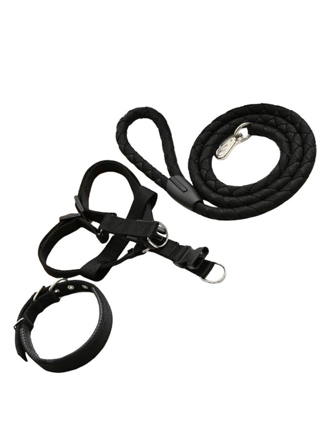 إيهوم حبل مقود للكلاب، مقود للكلاب شديد التحمل بطول 1.5 متر مع حلقة تثبيت من الألومنيوم المستخدم في الطيران، مقود قوي من النايلون للكلاب الصغيرة والمتوسطة والكبيرة (أسود) - Image 1