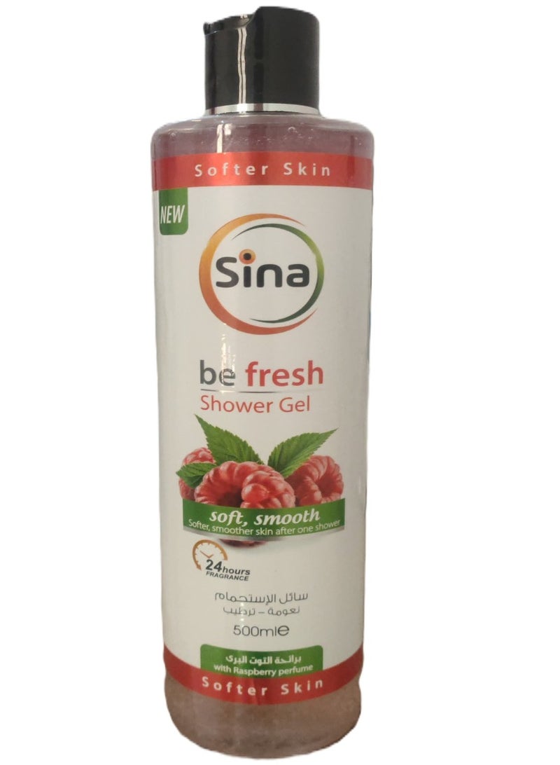 Sina Deep Moisturizing Shower Gel with Raspberry Scent 500ml