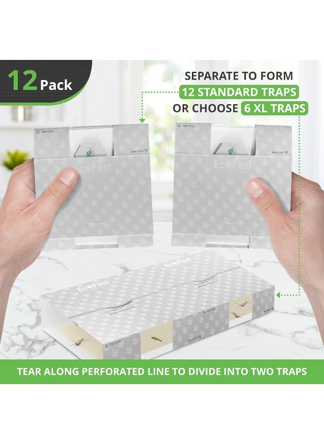 Generic Silverfish Trap - 12 Pack | Sticky Indoor Glue Trap for Silverfish Firebrat and Other Bugs and Crawling Insects | Adhesive Silverfish Killer Paks Monitor and Detector with Natural Bait Attractant  - Image 3
