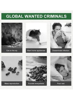 green killer مجموعة 12 قطع من مصائد الفأر في الداخل، مصائد غراء الفأر، مصائد لاصقة، ألواح غراء قوة احترافية تعمل على التقاط الفئران الداخلية والخارجية للفئران والصراصير والعناكب إلخ  - Image 2