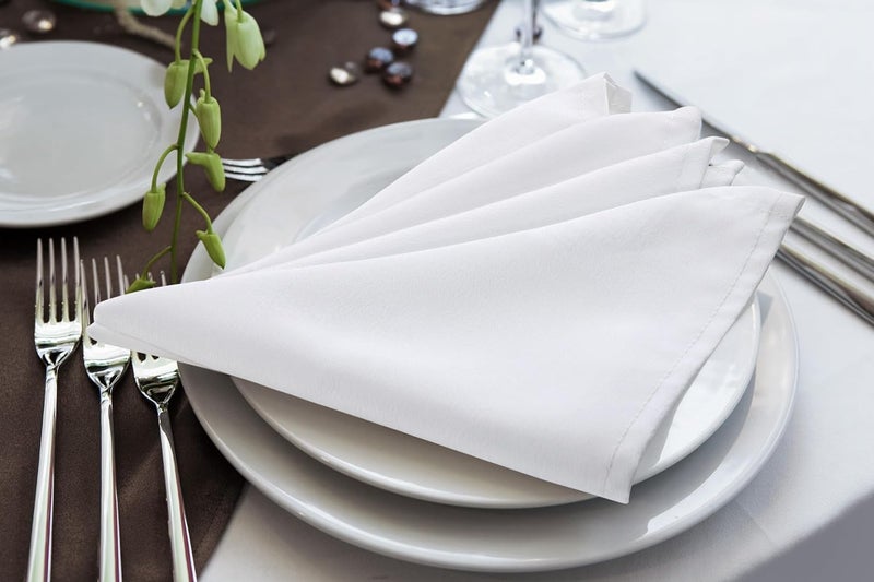 EdenwaldKitchen Napkin 100 Cotton Pack of 6 20 x 20 Inches Dinner Napkins with Hemmed EdgesCloth Napkins for WeddingPartiesSnowy White - Image 2