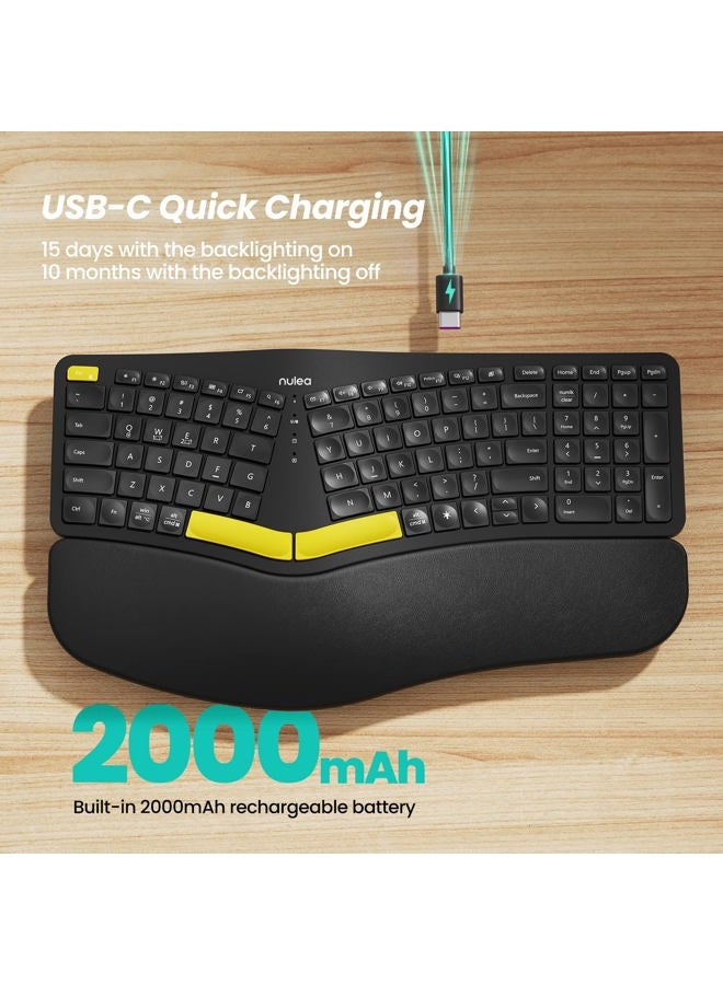Nulea Wireless Ergonomic Keyboard, Split Keyboard with Wrist Rest, USB-C Charging, 7-Color Backlight, Natural Typing, Bluetooth and USB Connectivity, Compatible with Windows/Mac - Image 3