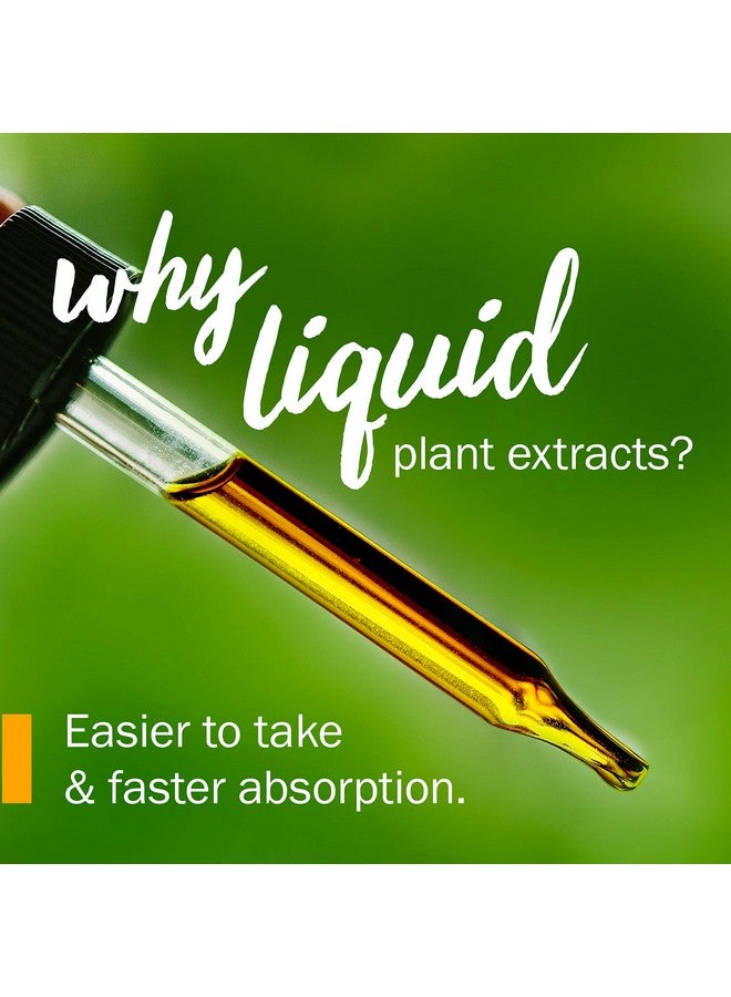 HERB PHARM Certified Organic Holy (Tulsi) Liquid Extract For Energy And Vitality Basil 4 Fl Oz - Image 5