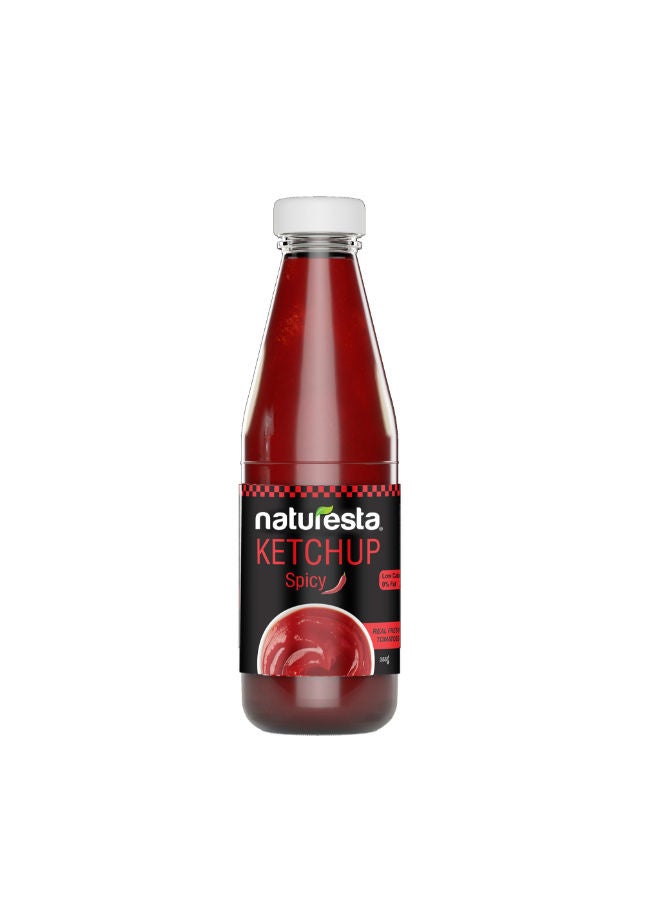 Naturesta Spicy Ketchup - 355 Gram - Image 1