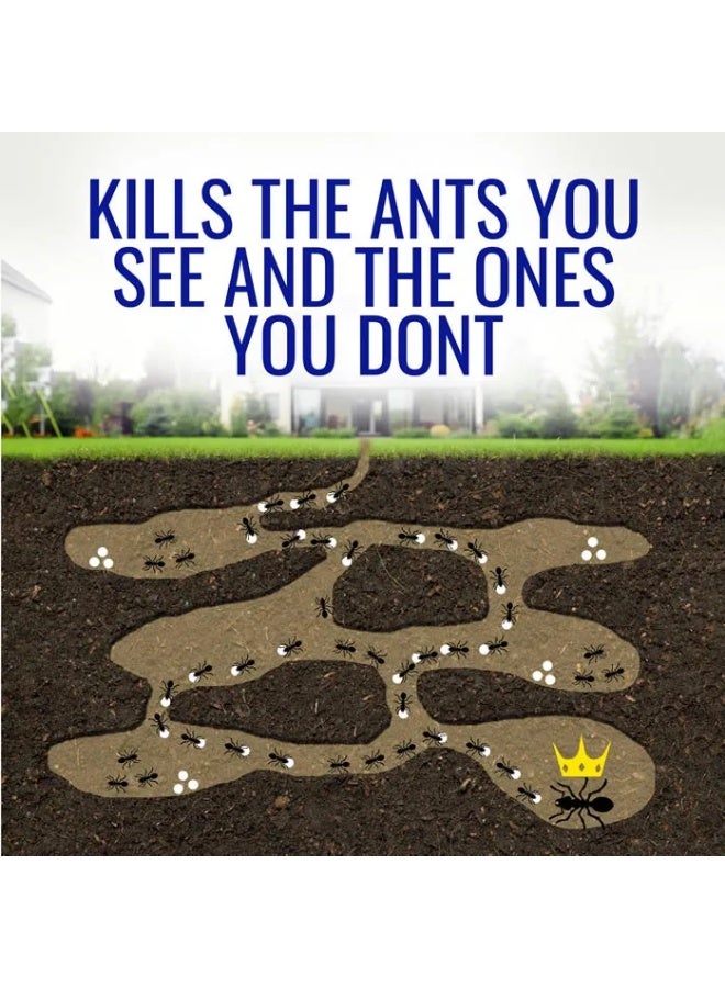 TERRO Liquid Ant Killer ll T100, 1 oz - Image 2