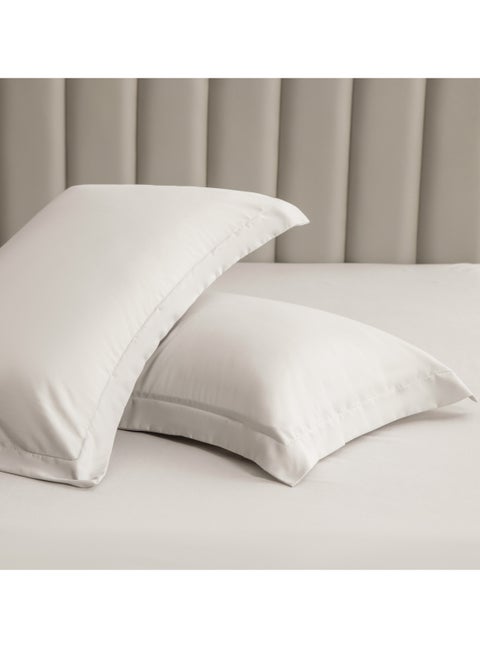 Microfiber Pillowcases 2-Pcs Soft Pillow Cover (50 x 75 CM) With Envelope Closure (Without Pillow Insert),Silk